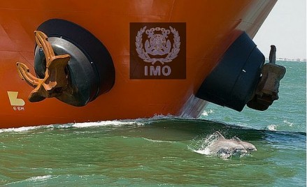 Understanding IMO Conventions, resolutions and Circulars